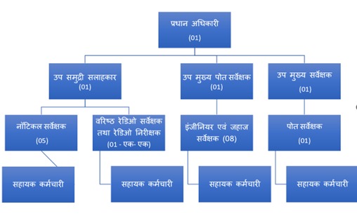 Organization chart